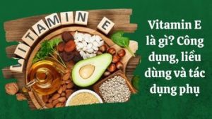 Vitamin E là gì